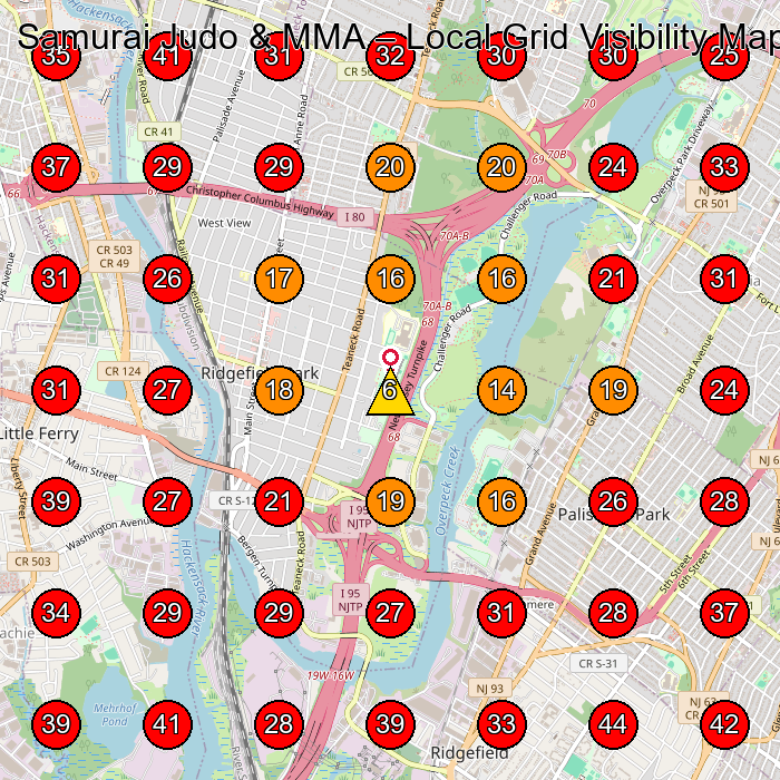 Samurai Judo & MMA GeoGrid visibility map for Martial Arts School in Leonia
